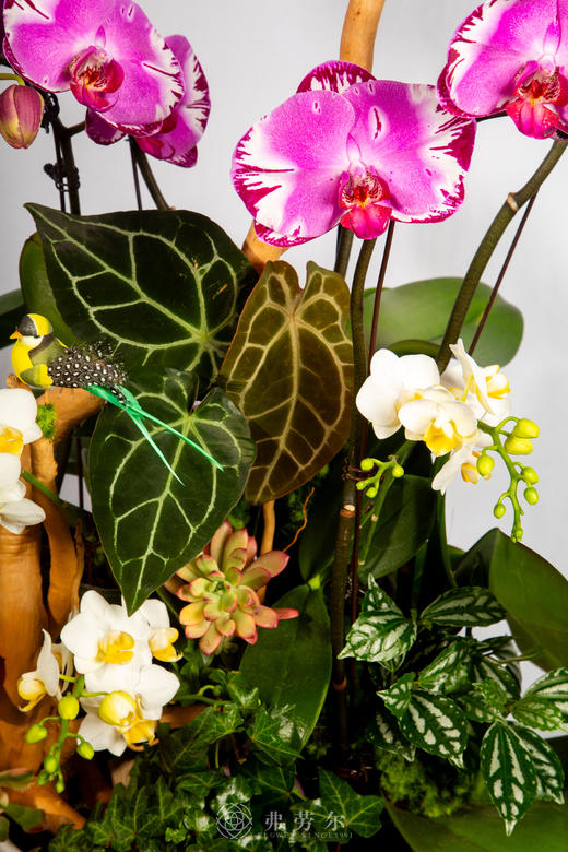 马骋千里 商品图3