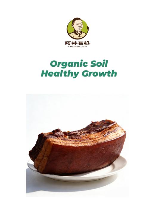 无抗酱油五花肉 500g 商品图0