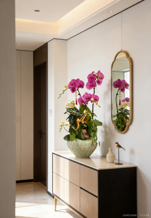 天马行空 商品图0