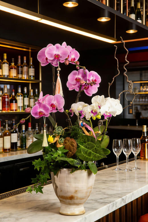 龙马精神 商品图1