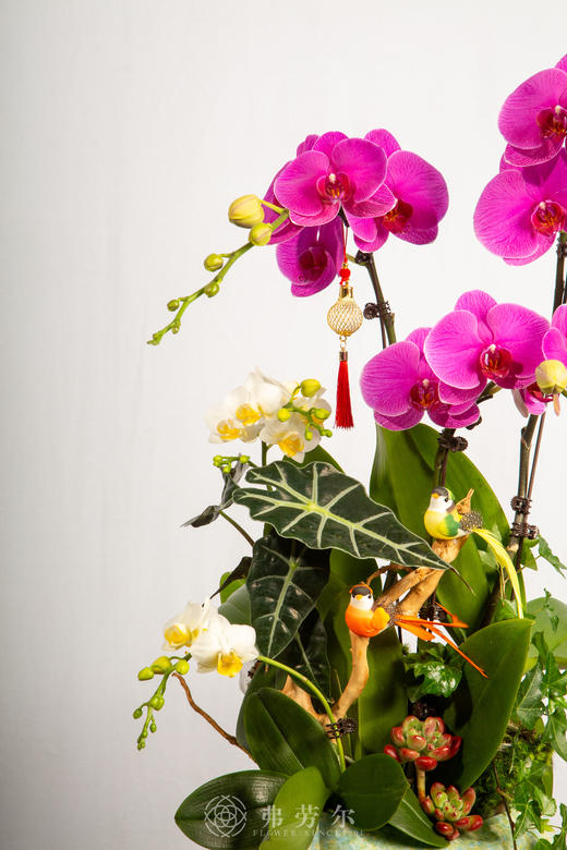 天马行空 商品图3