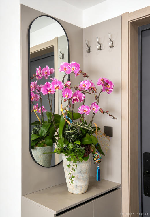 马跃新程 商品图1