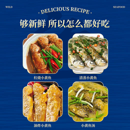 【舟山野生小黄鱼礼盒】黄金海域，纯正野生，液氮锁鲜，新年 “小金条”， 鲜礼首选！500克/袋，109元起~（2.13-2.24停发） 商品图7