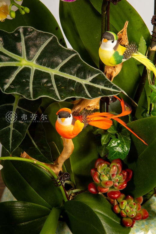 天马行空 商品图4