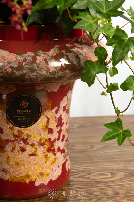 马到功成 商品图5