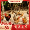 【年货节】散养土鸡_120天养殖龄 商品缩略图0