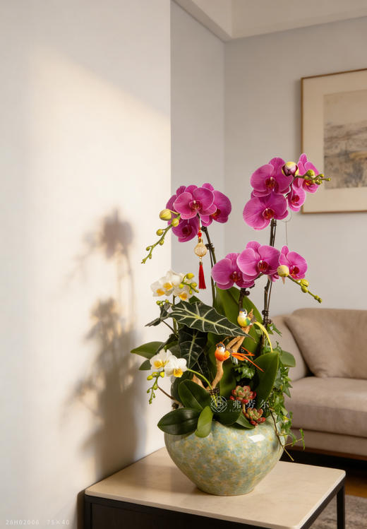 天马行空 商品图1