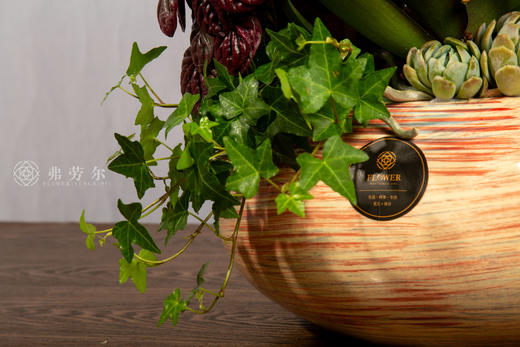 万马奔腾 商品图5