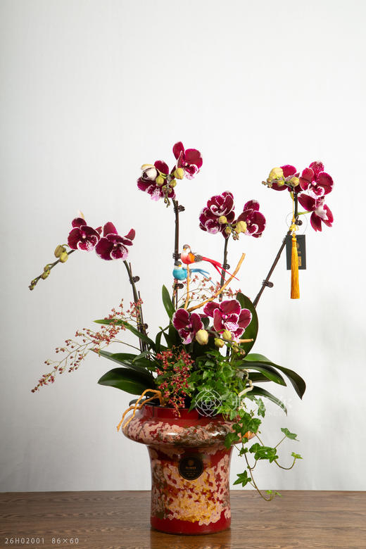 马到功成 商品图2