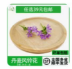 丹麦风铃花1*4g