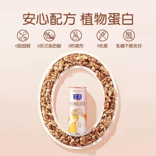 露露核桃露（经典低糖）310ml*12 商品图1