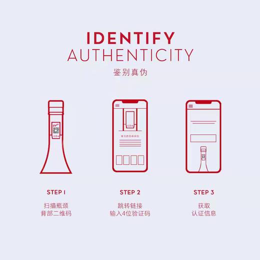 WZM奔富一号花花世界 商品图4