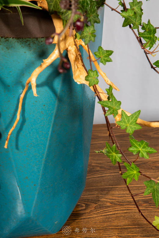 马创辉煌 商品图5