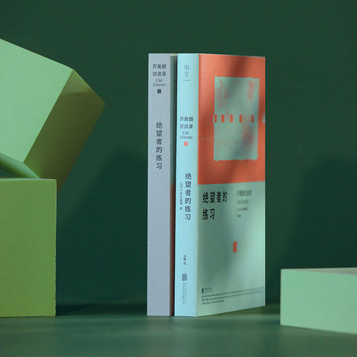 明室 绝望者的练习:齐奥朗访谈录 在绝望之巅作者重磅访谈合集 激烈清醒矛盾的精神自画像 给虚无时代的思想慰藉 哲学书籍 商品图2