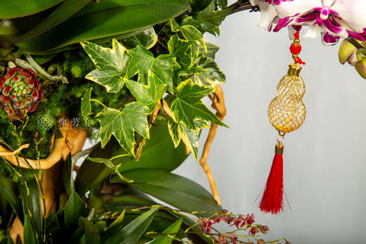 马开财路 商品图4