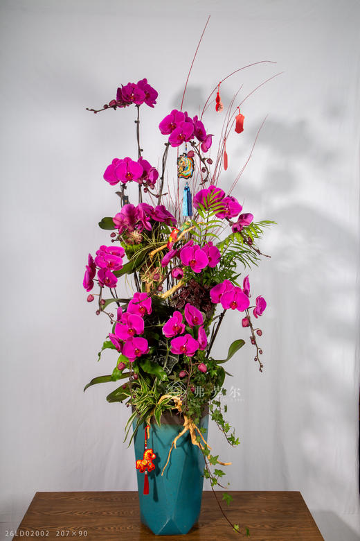 马创辉煌 商品图2