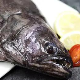 【野生海产】格陵兰比目鱼1100±100g  大西洋纯净海域 商品图1