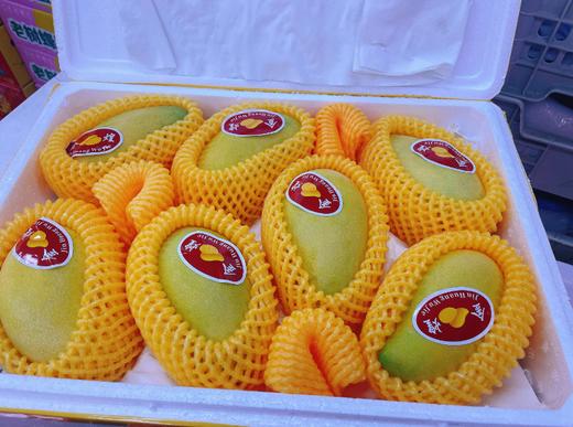 泡沫箱金煌芒一箱（芒果） 商品图1