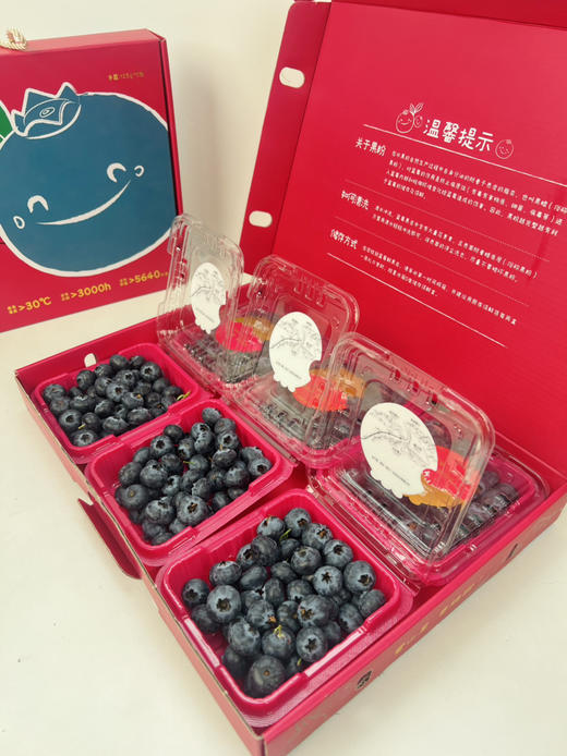 稼沃蓝莓🫐雪山甜蓝莓，好山好水 种出来的东西也是好的送礼，追求高品质，强烈推荐[强] 商品图2