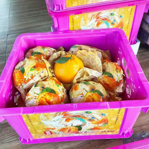 耙耙柑（小礼盒）约2.8kg/件 商品图0