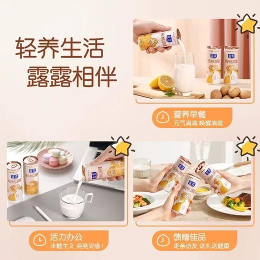 露露核桃露（经典低糖）310ml*12 商品图3
