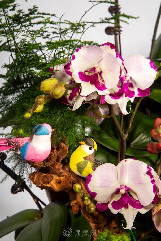 马驰骋（码）场 商品图2