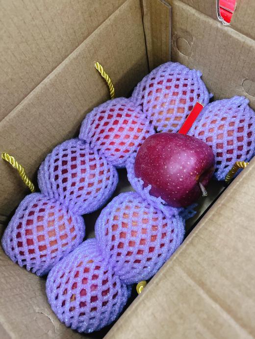 爆汁丑苹果一箱 商品图1