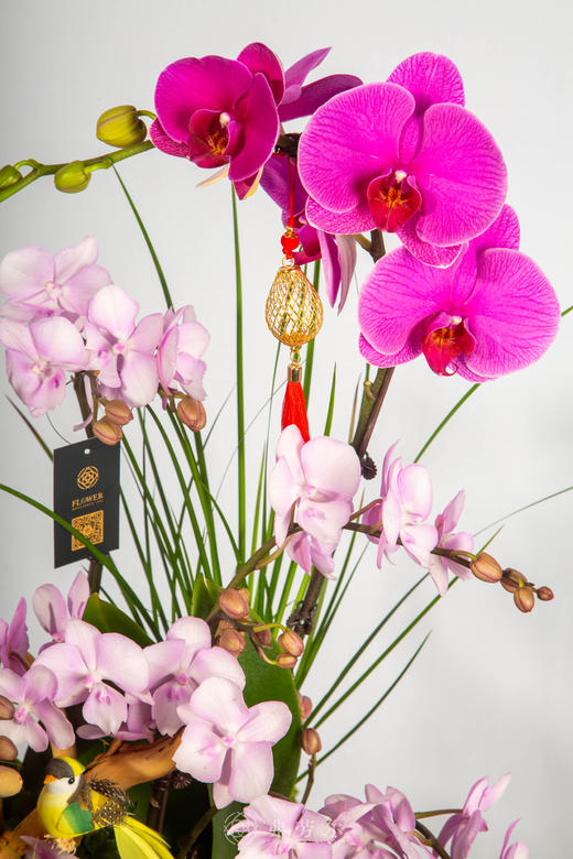 马力全开 商品图3