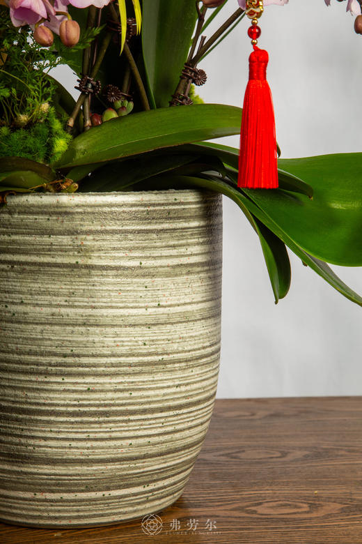 马力全开 商品图4