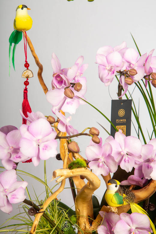 马力全开 商品图2