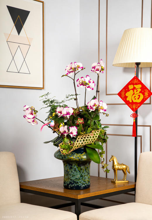 马驰骋（码）场 商品图0