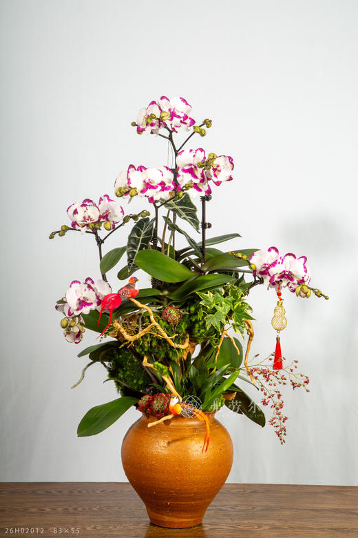 马开财路 商品图2