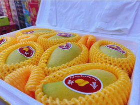 泡沫箱金煌芒一箱（芒果）