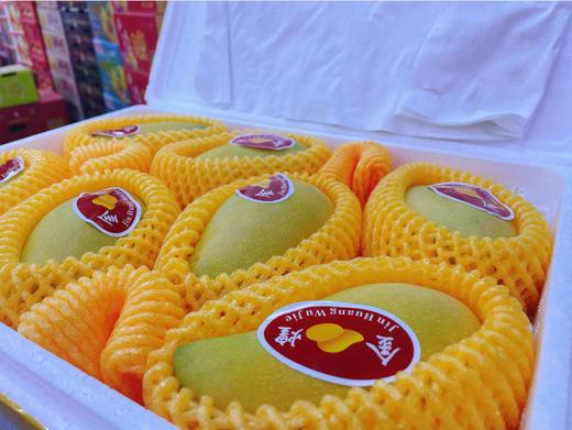 泡沫箱金煌芒一箱（芒果） 商品图0