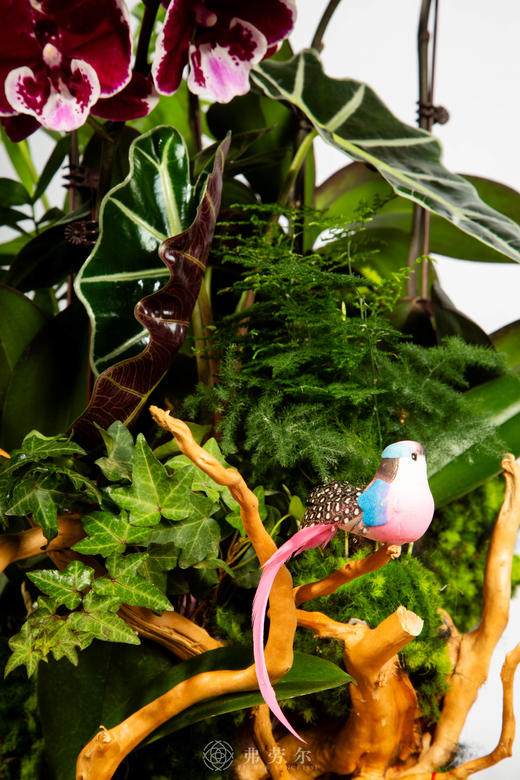 马标独树 商品图3