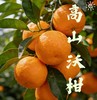 罗甸沃柑【厂家直发】 商品缩略图0