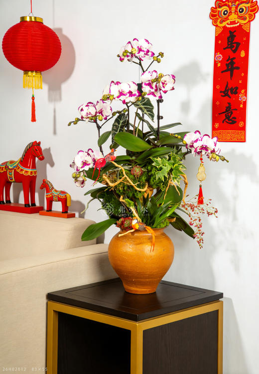 马开财路 商品图1