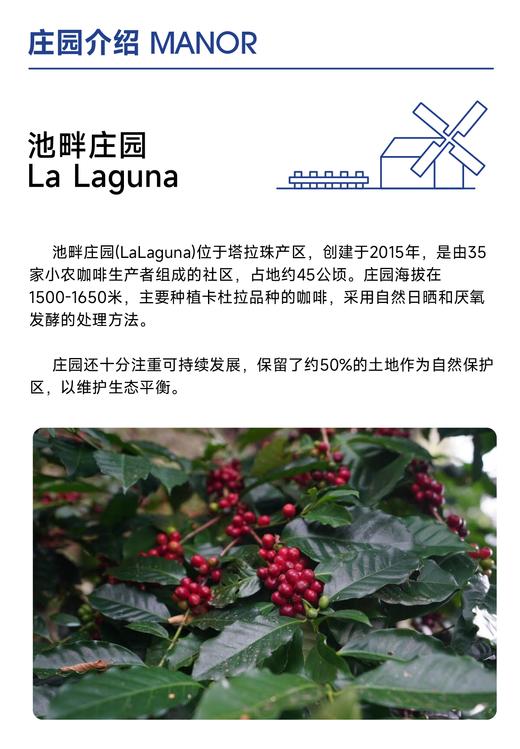 池畔庄园 ｜百香果 芒果 肉桂 西柚 商品图3