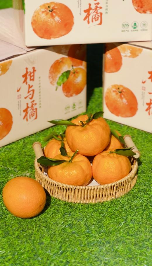 云南亿得鲜 柑与橘 商品图4