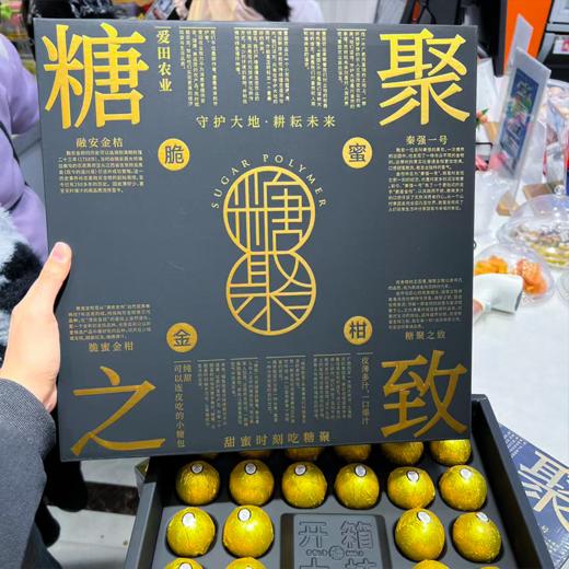 糖聚脆蜜金柑 纯甜无酸 精品大果金桔 商品图5
