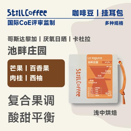 池畔庄园 ｜百香果 芒果 肉桂 西柚 商品图0