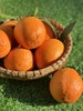 云南亿得鲜 柑与橘 商品缩略图5
