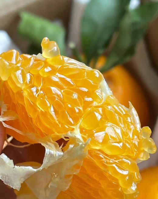 云南亿得鲜 柑与橘 商品图7