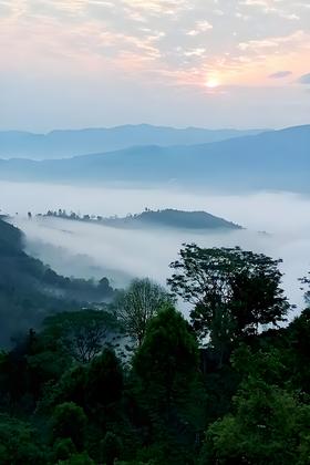 景迈山.茶魂地2026-1000克-晒青绿茶