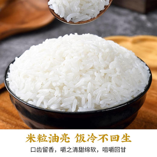 米庄国际五常大米5kg/袋 商品图2