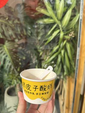 手工奶皮子酸奶