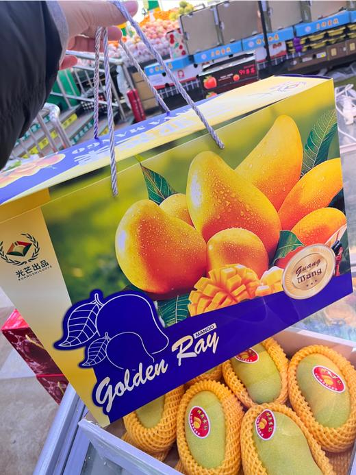 三亚芒果一箱 商品图1