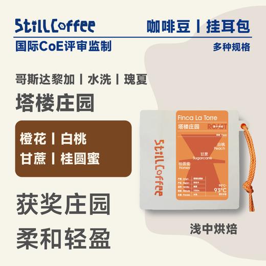 塔楼庄园 ｜橙花 白桃 甘蔗 桂圆蜜 商品图0