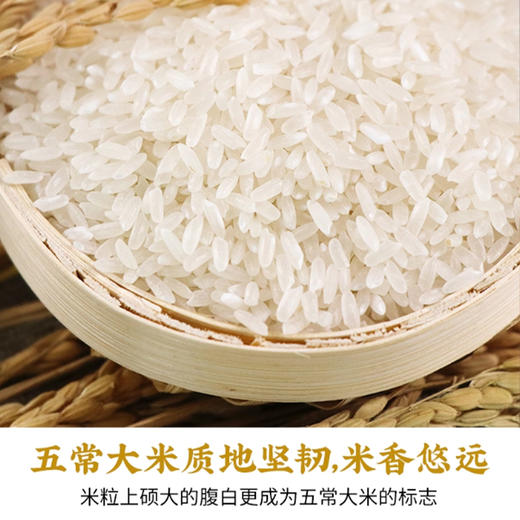 米庄国际五常大米5kg/袋 商品图1