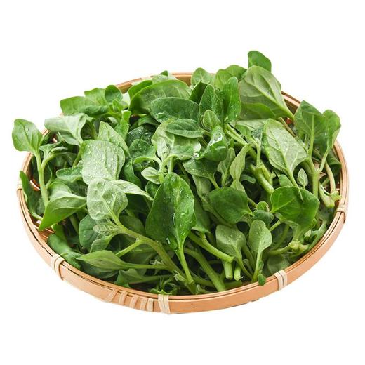 番杏叶 250g 商品图2